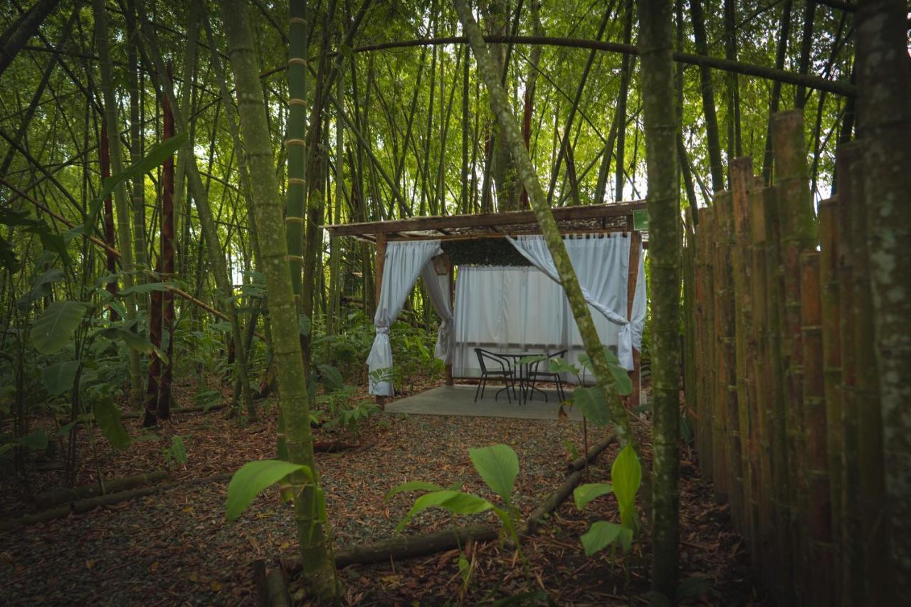 Amanatu Ecolodge & Spa Quimbaya Exterior foto